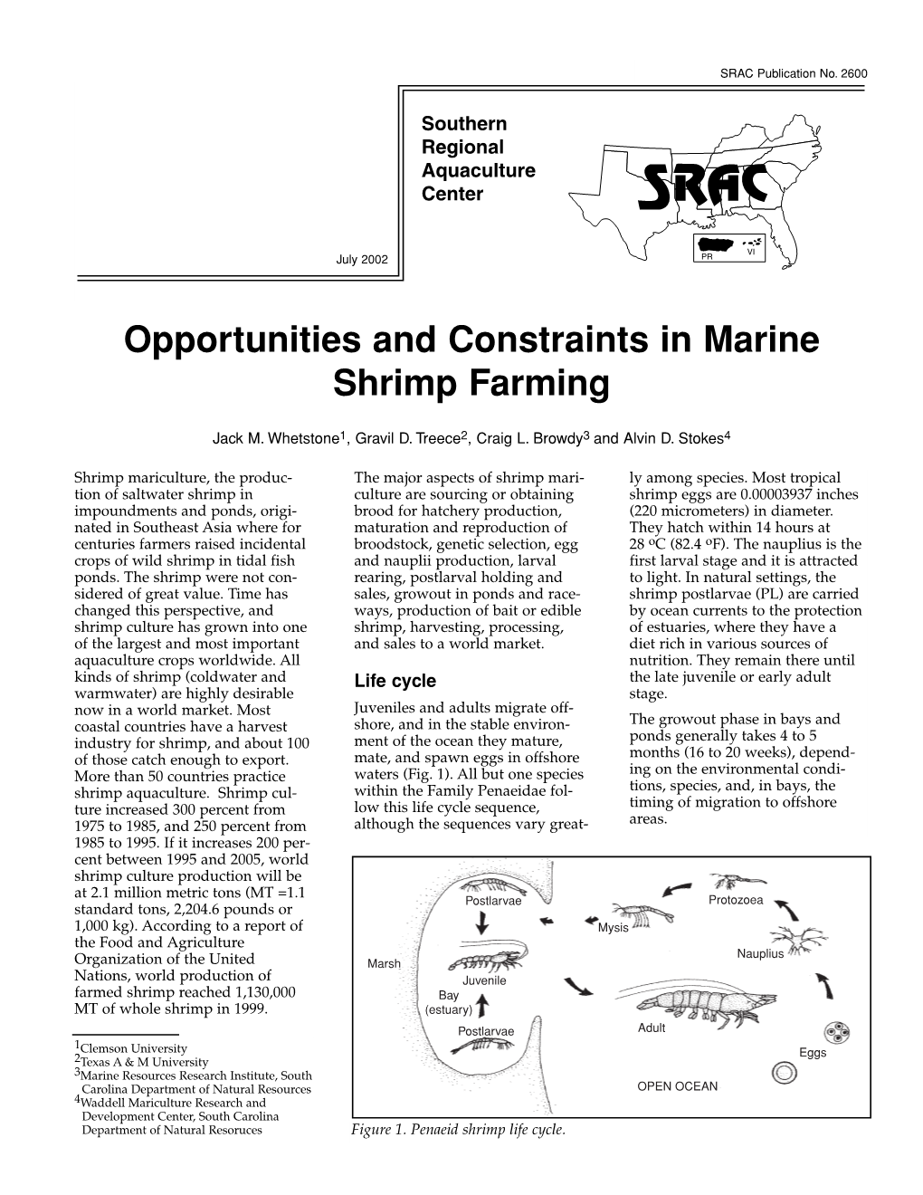 Opportunities and Constraints in Marine Shrimp Farming