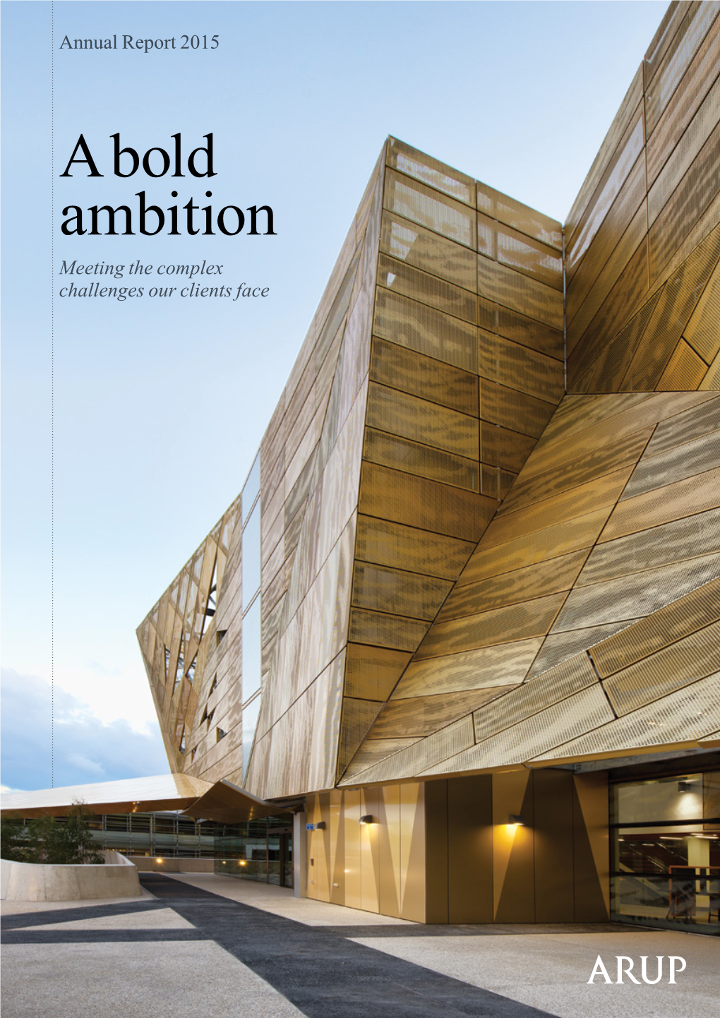 A Bold Ambition Meeting the Complex Challenges Our Clients Face Contents