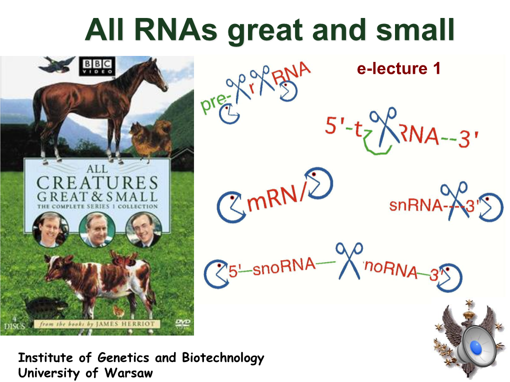 All Rnas Great and Small E-Lecture 1