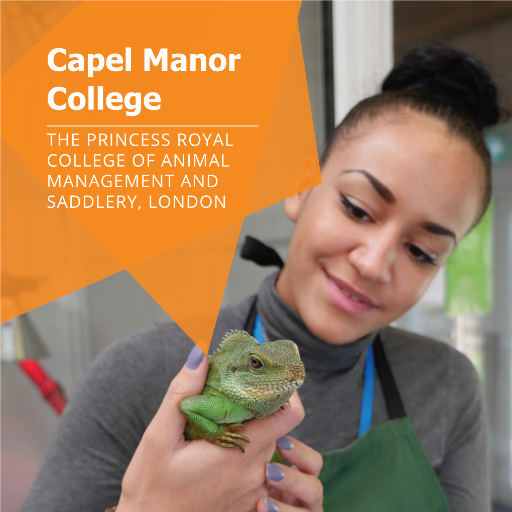 Capel Manor College