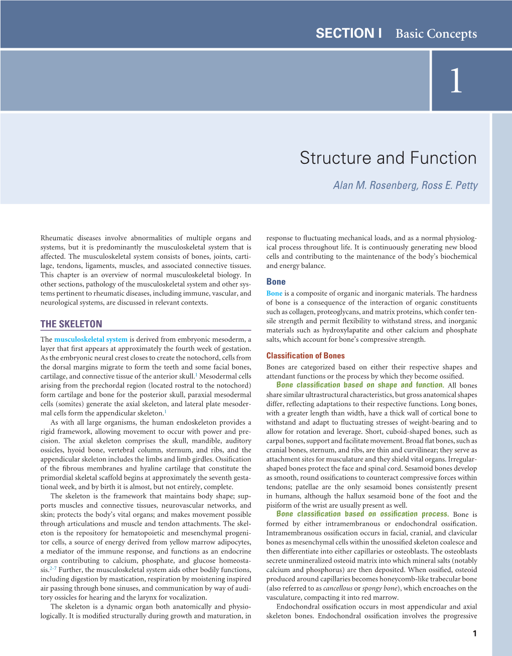 Structure and Function