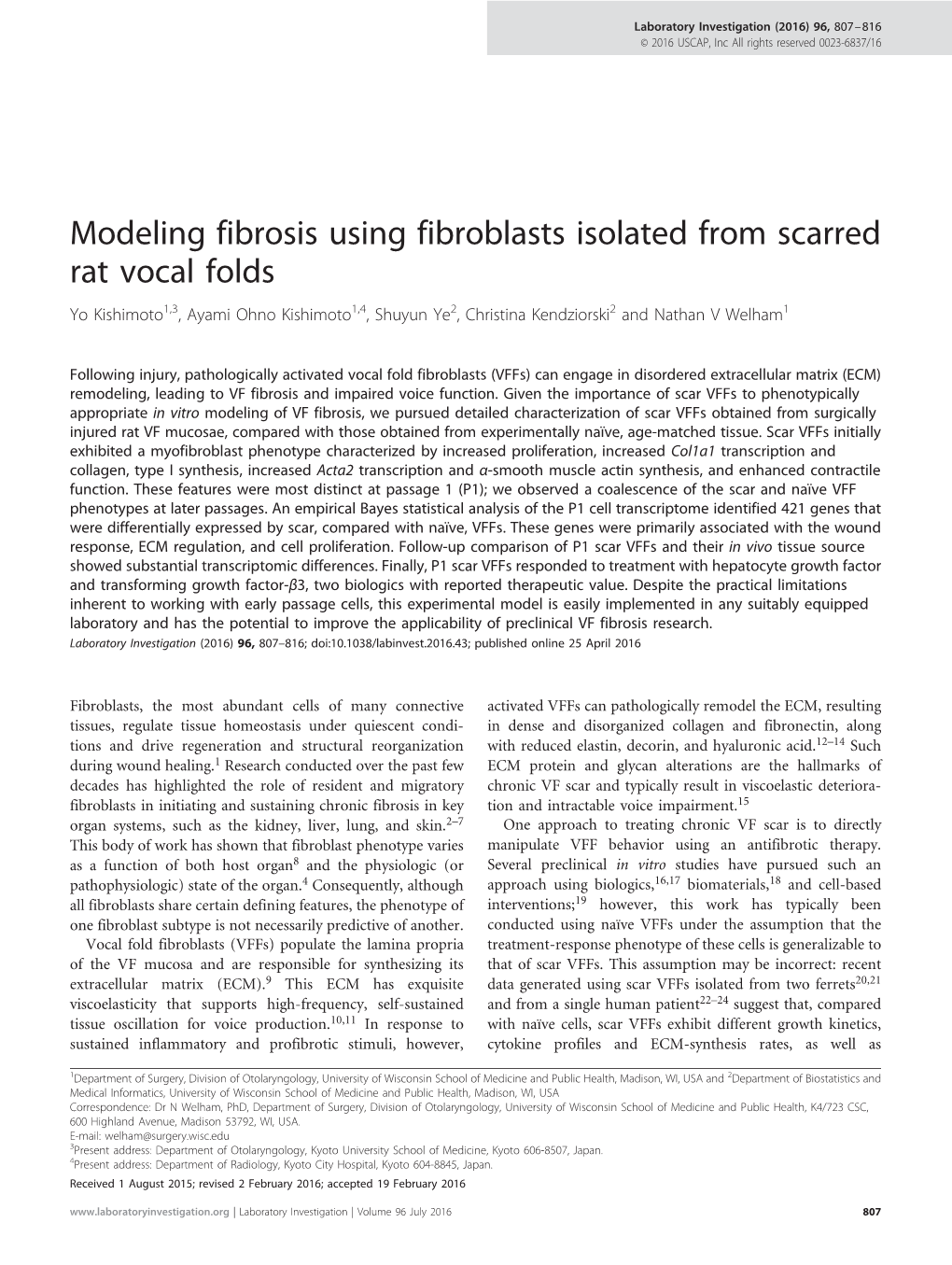 Modeling Fibrosis Using Fibroblasts Isolated from Scarred Rat Vocal Folds