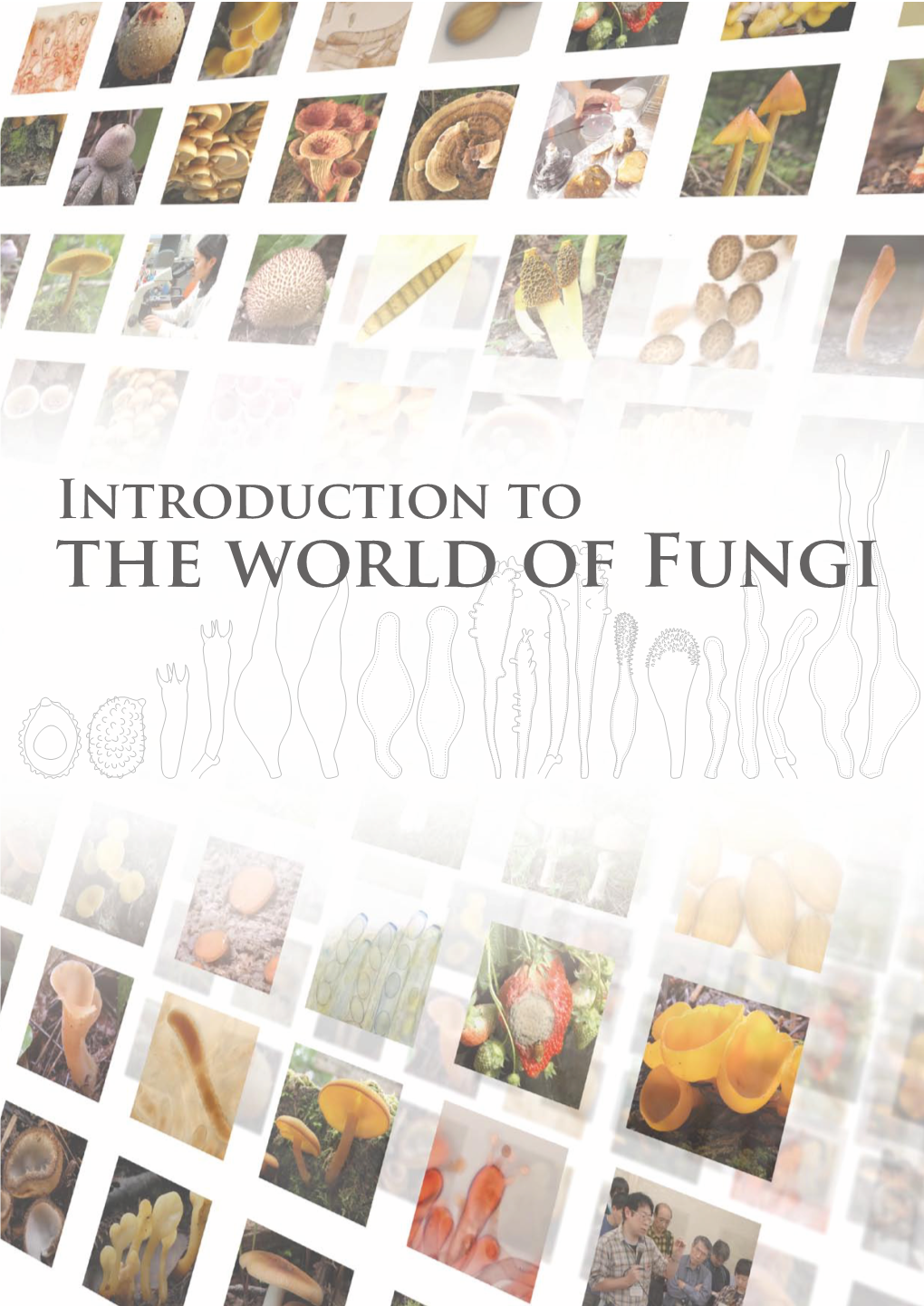 Intoroduction to the World of Fungi
