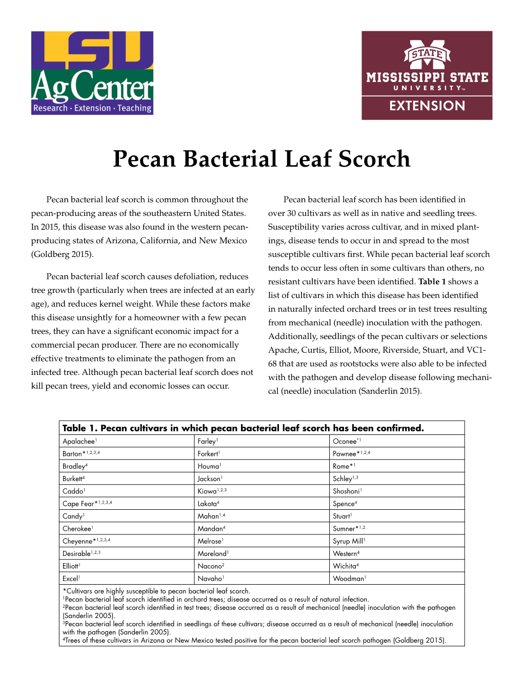 Pecan Bacterial Leaf Scorch