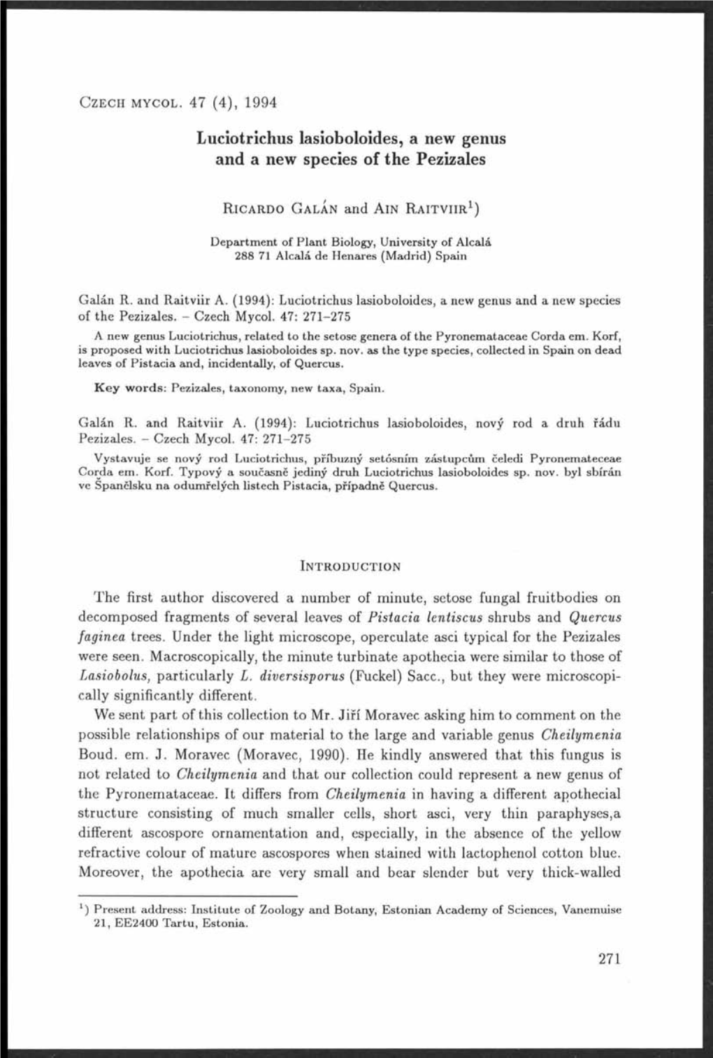 Luciotrichus Lasioboloides, a New Genus and a New Species of the Pezizales