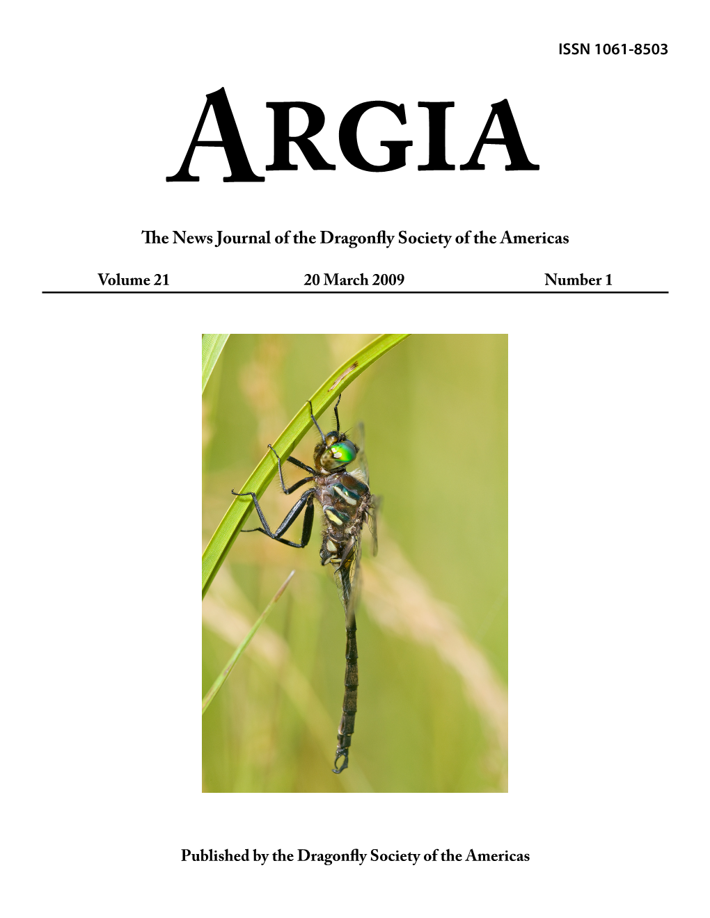 The News Journal of the Dragonfly