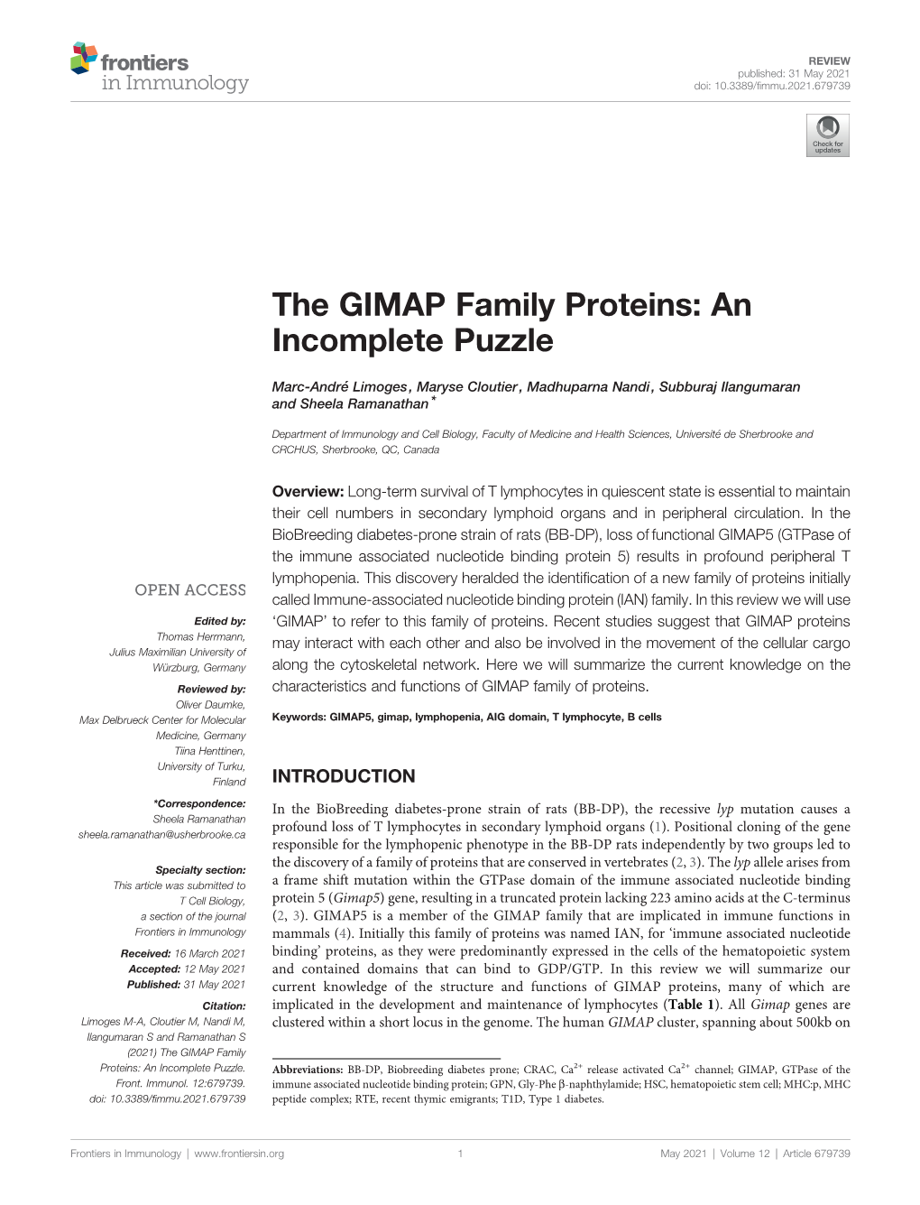 The GIMAP Family Proteins: an Incomplete Puzzle