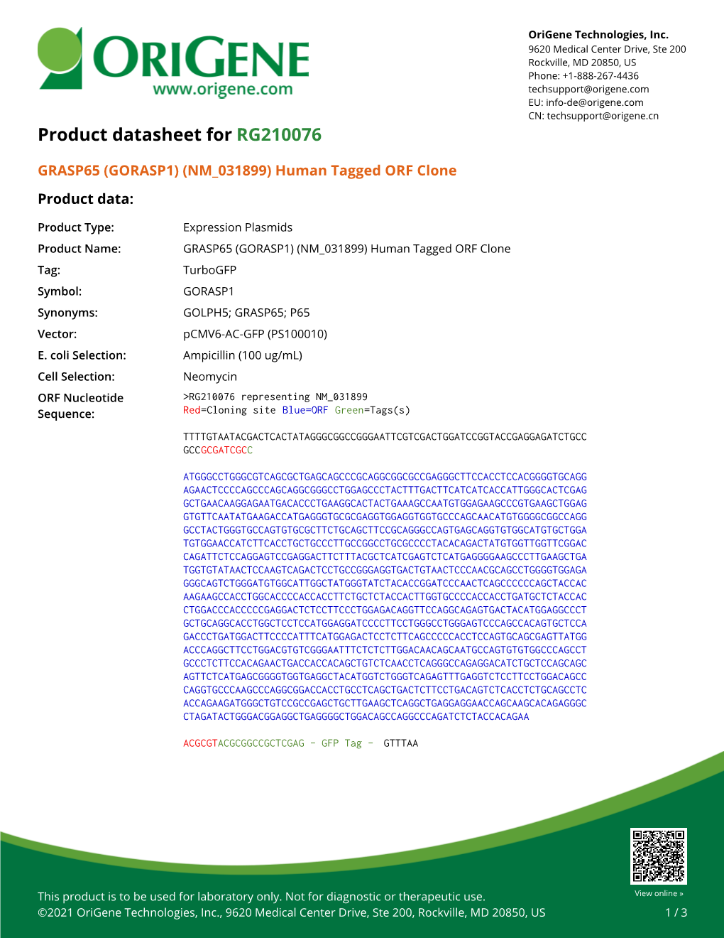 GRASP65 (GORASP1) (NM 031899) Human Tagged ORF Clone – RG210076 | Origene