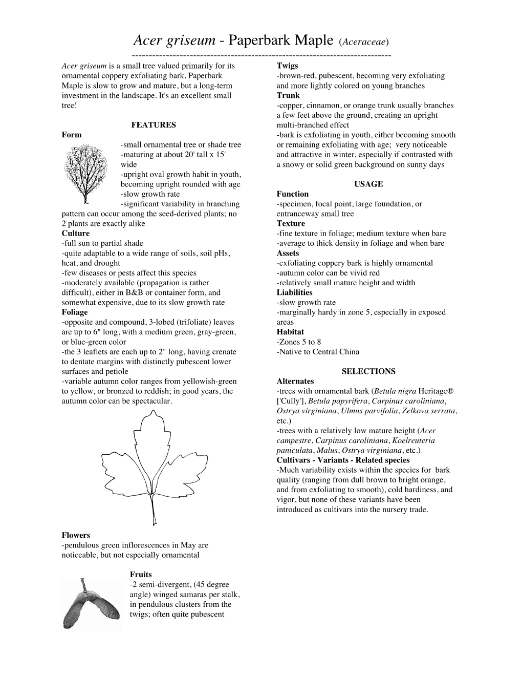 Acer Griseum - Paperbark Maple (Aceraceae) ------Acer Griseum Is a Small Tree Valued Primarily for Its Twigs Ornamental Coppery Exfoliating Bark