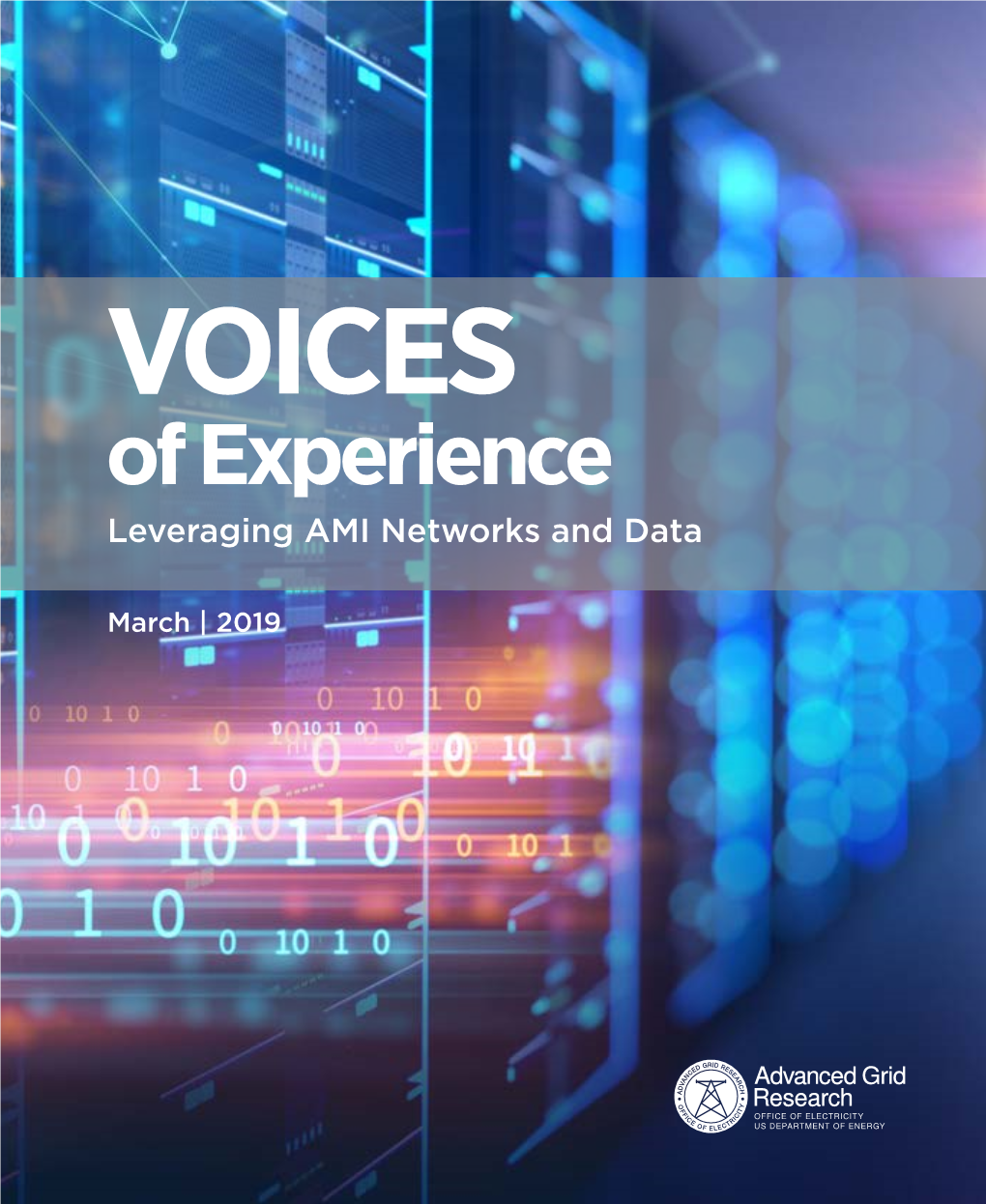 Voice of Experience | Leveraging AMI Networks and Data