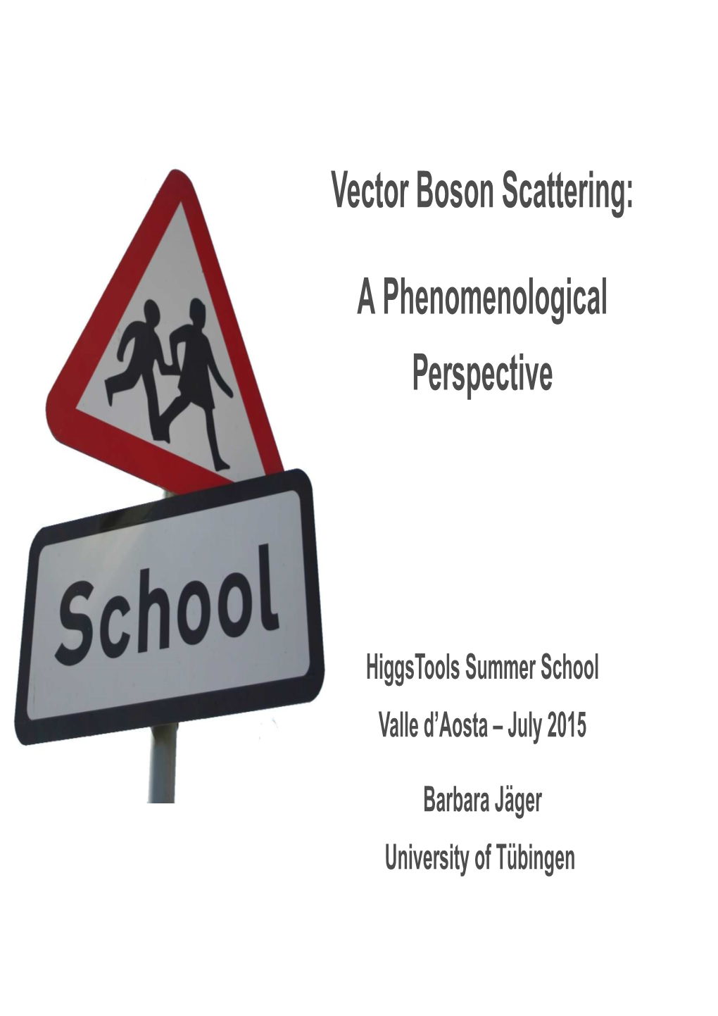 Vector Boson Scattering: a Phenomenological Perspective