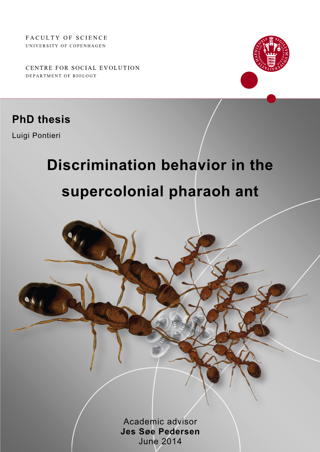 Discrimination Behavior in the Supercolonial Pharaoh Ant