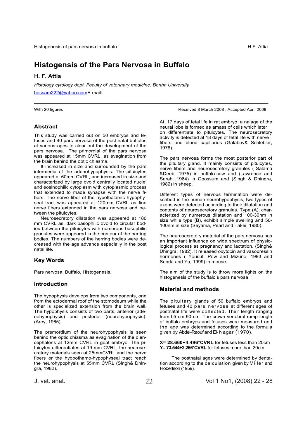 Histogensis of the Pars Nervosa in Buffalo H