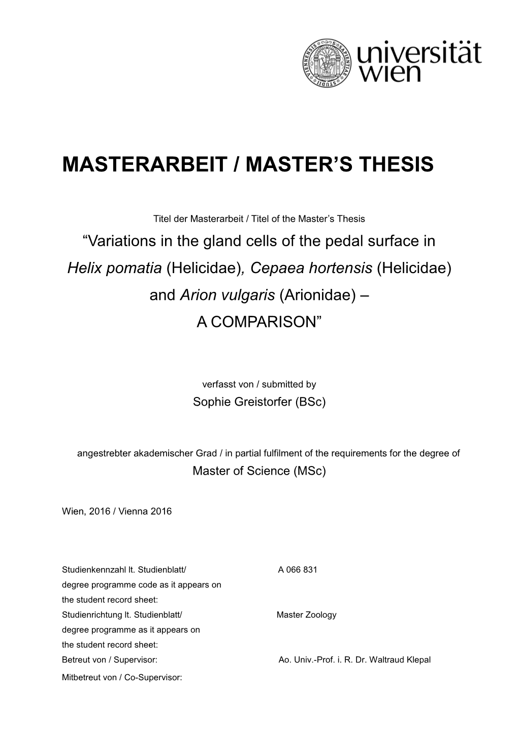 Masterarbeit / Master's Thesis