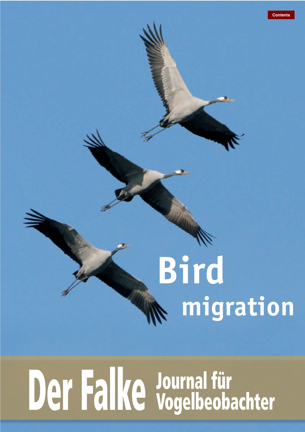 Bird Migration Dear Readers