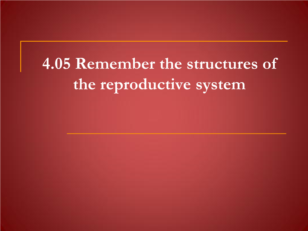 4.05 Remember the Structures of the Reproductive System 4.05 Remember the Structures of the Reproductive System