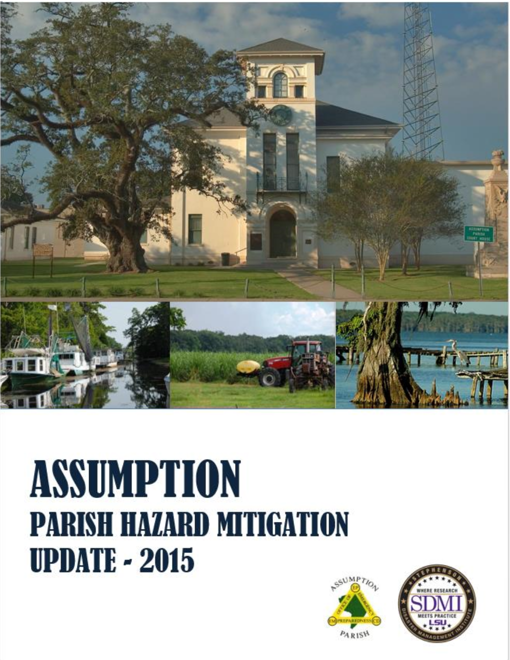 ASSUMPTION PARISH HAZARD MITIGATION PLAN I