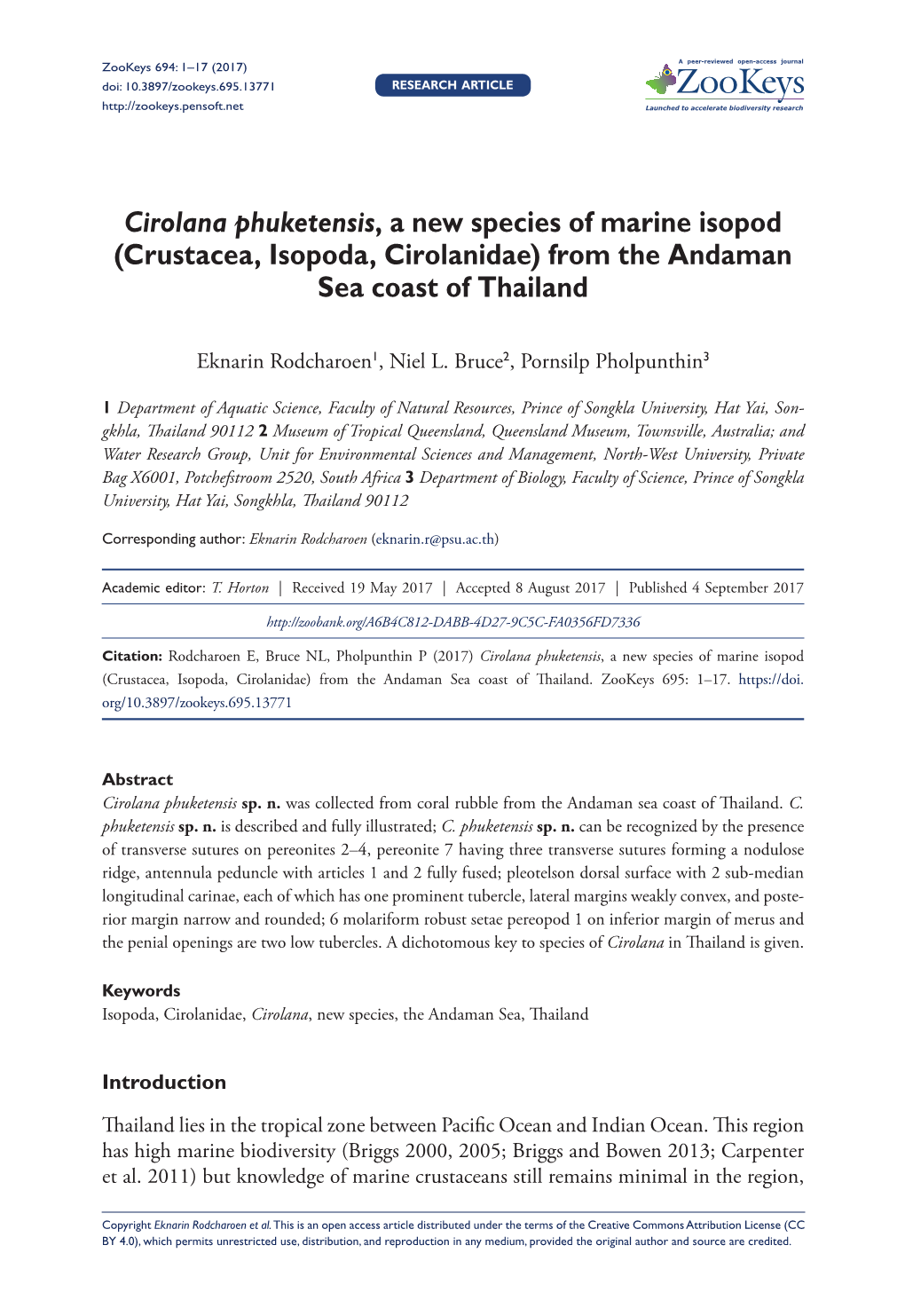 Cirolana Phuketensis, a New Species of Marine Isopod (Crustacea, Isopoda, Cirolanidae) from the Andaman Sea Coast of Thailand