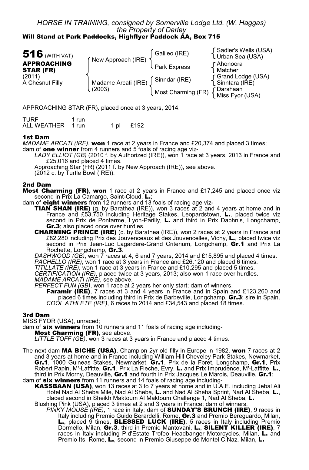 HORSE in TRAINING, Consigned by Somerville Lodge Ltd. (W. Haggas) the Property of Darley Will Stand at Park Paddocks, Highflyer Paddock AA, Box 715