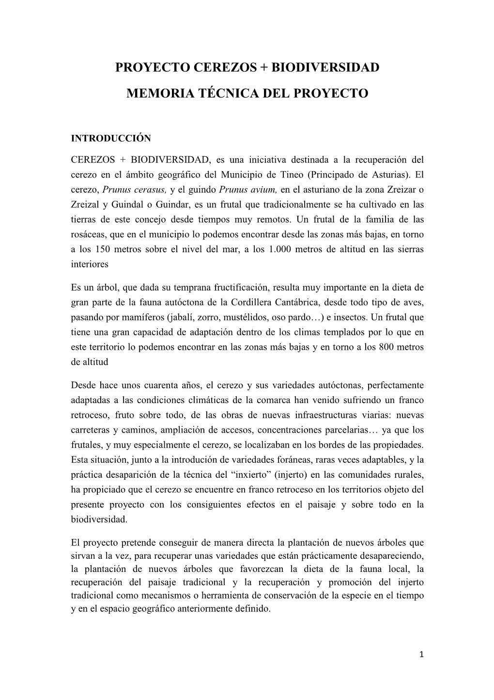 Memoria Tineo.Pdf