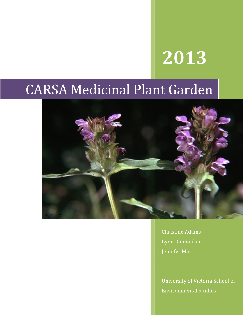 CARSA Medicinal Plant Garden Fall 2013