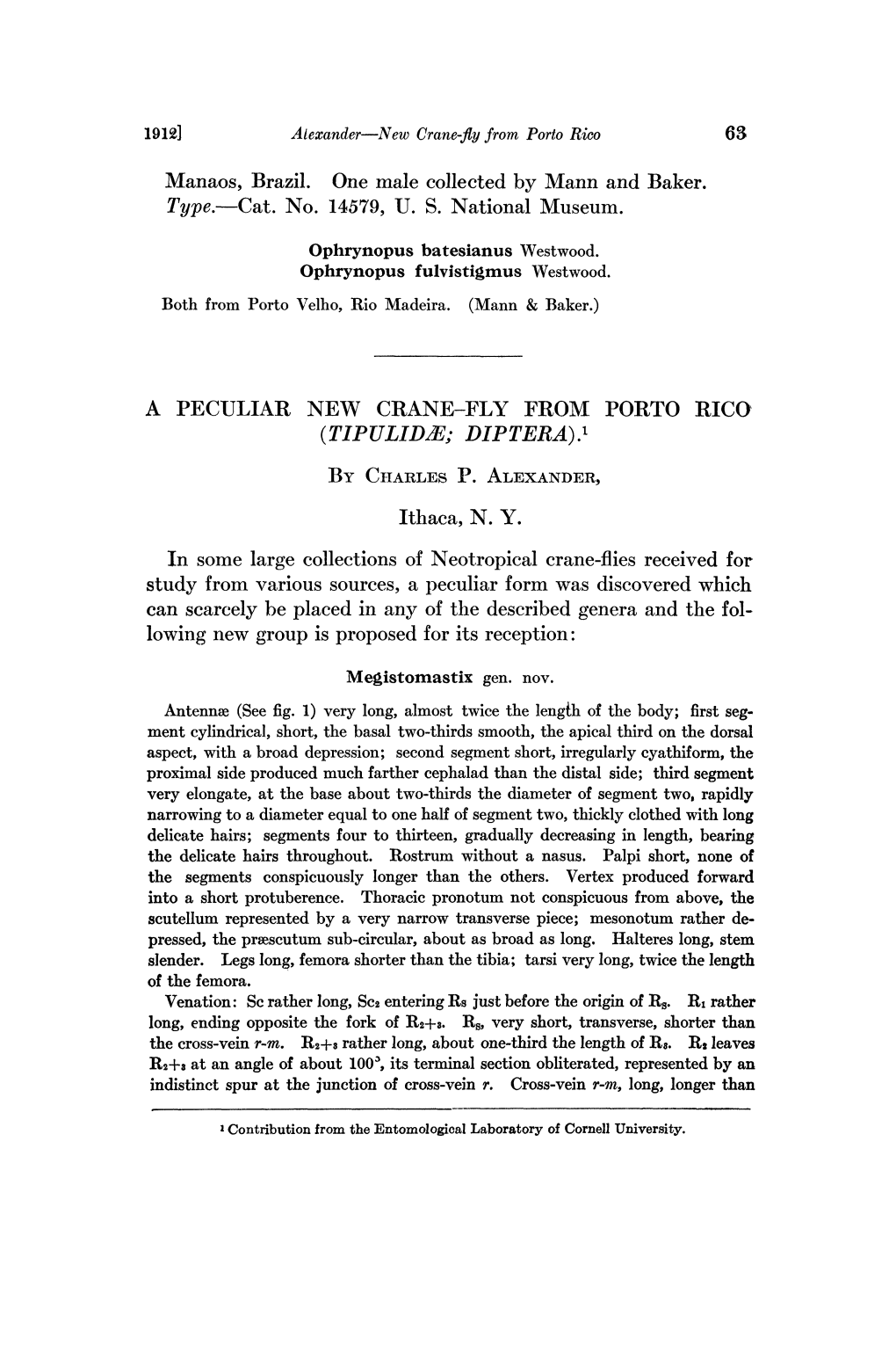 Type.--Cat. No. 14579, U. S. National Museum. a PECULIAR NEW CRANE-FLY from PORTO RICO TIPULIDE; DIPTERA). by CHARLES I). ALEXAN