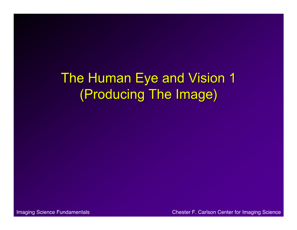 The Human Eye and Vision 1