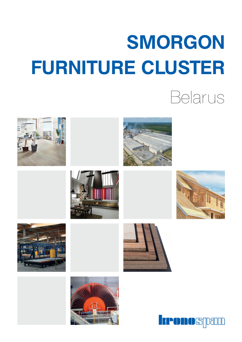 SMORGON FURNITURE CLUSTER Belarus Production Sites with Furniture Clusters