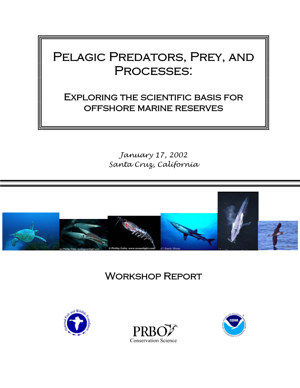Pelagic Predators, Prey, and Processes