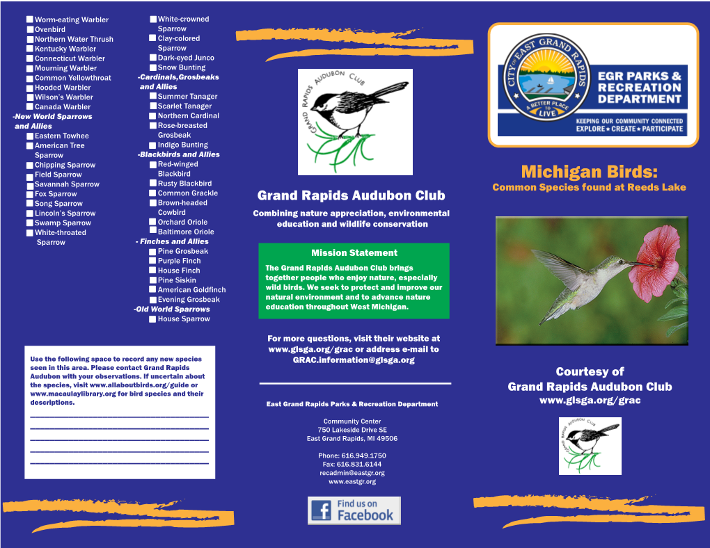 Michigan Birds 1