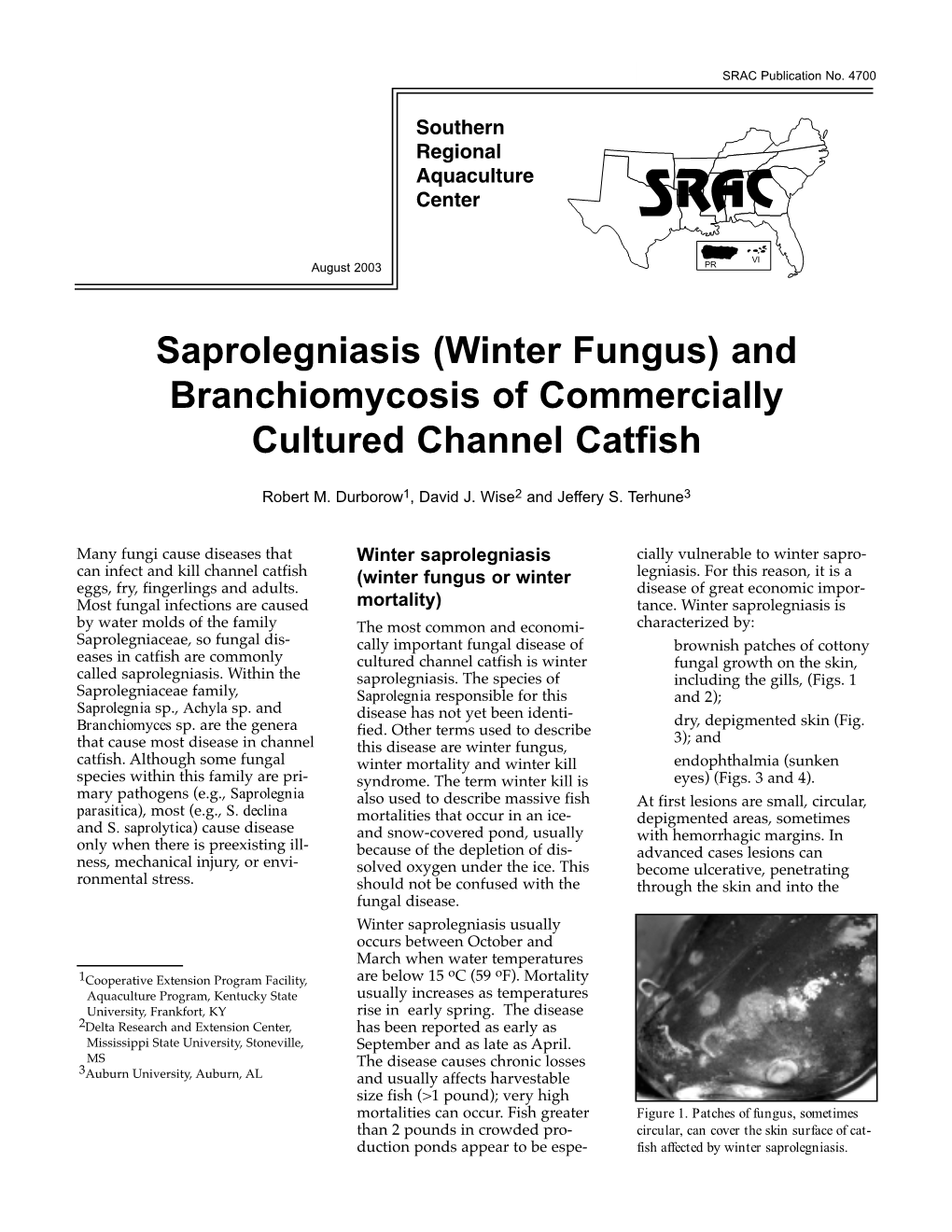 Saprolegniasis (Winter Fungus) and Branchiomycosis of Commercially Cultured Channel Catfish