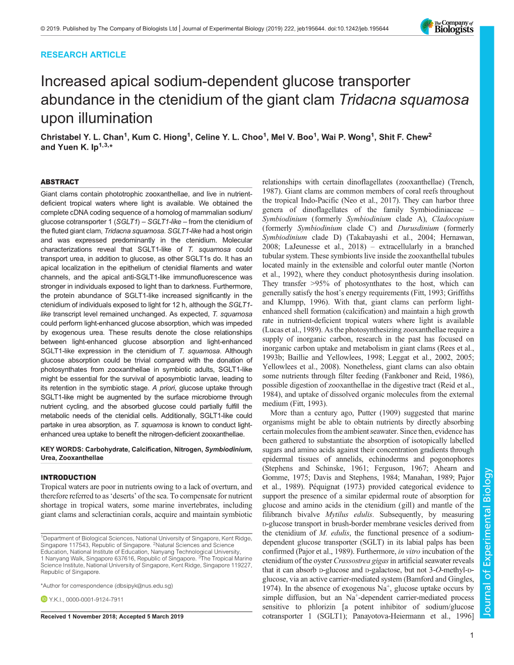 Increased Apical Sodium-Dependent Glucose Transporter Abundance in the Ctenidium of the Giant Clam Tridacna Squamosa Upon Illumination Christabel Y