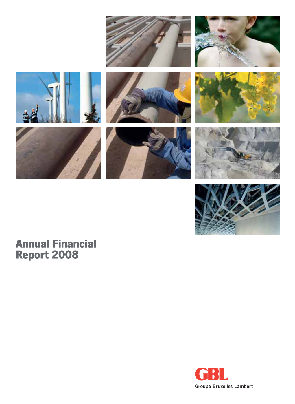 Annual Financial Report 2008