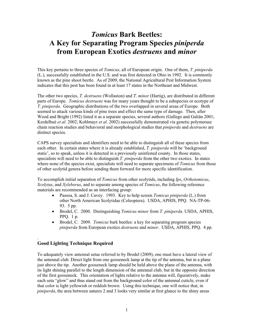 Tomicus Bark Beetles: a Key for Separating Program Species Piniperda from European Exotics Destruens and Minor