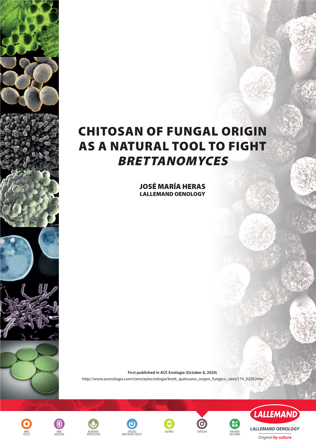 Chitosan of Fungal Origin As a Natural Tool to Fight Brettanomyces