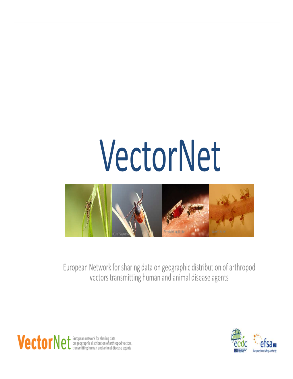 LOVCEN AGM Vectronet 2016