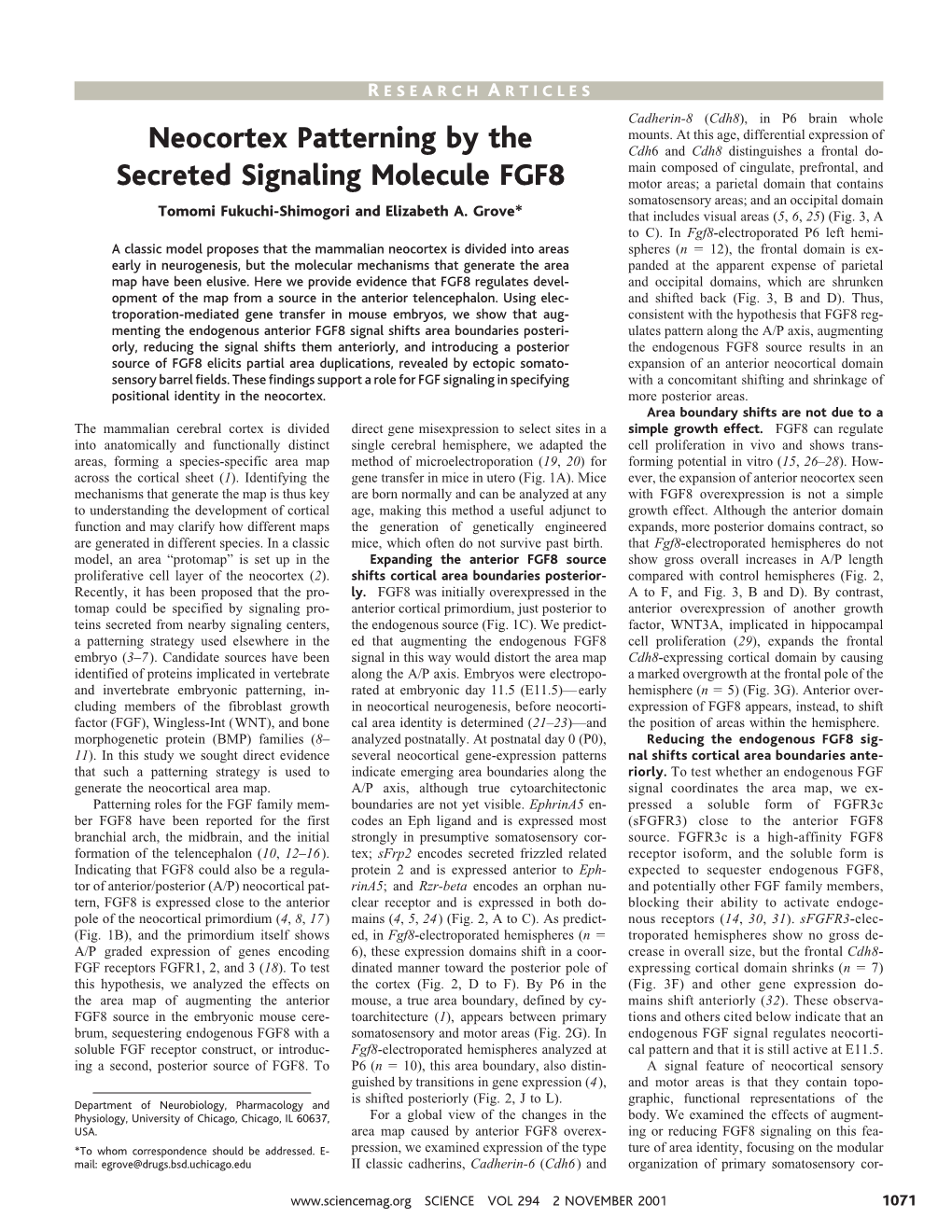 Neocortex Patterning by the Secreted Signaling Molecule FGF8