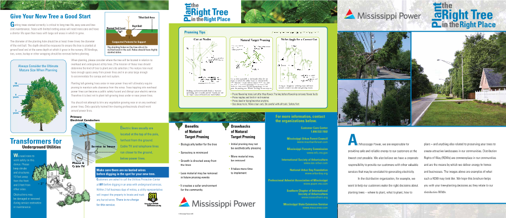 Plant Right Tree Tilled Soil Area in Theright Place