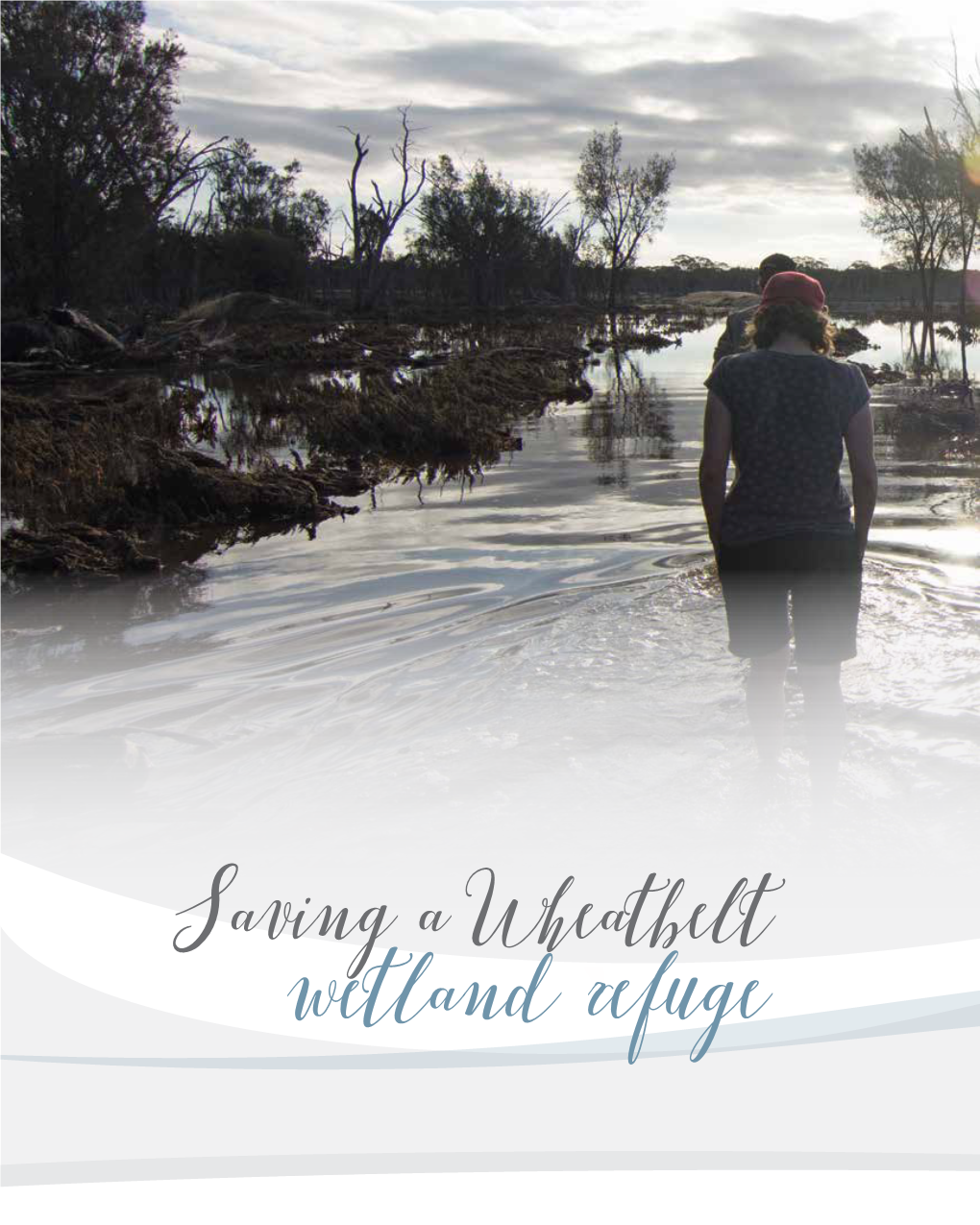 Wetland Refuge Unseasonal Heavy Rainfall Earlier This Year Brought Much Life to Toolibin Lake, Filling It for the First Time in More Than 20 Years