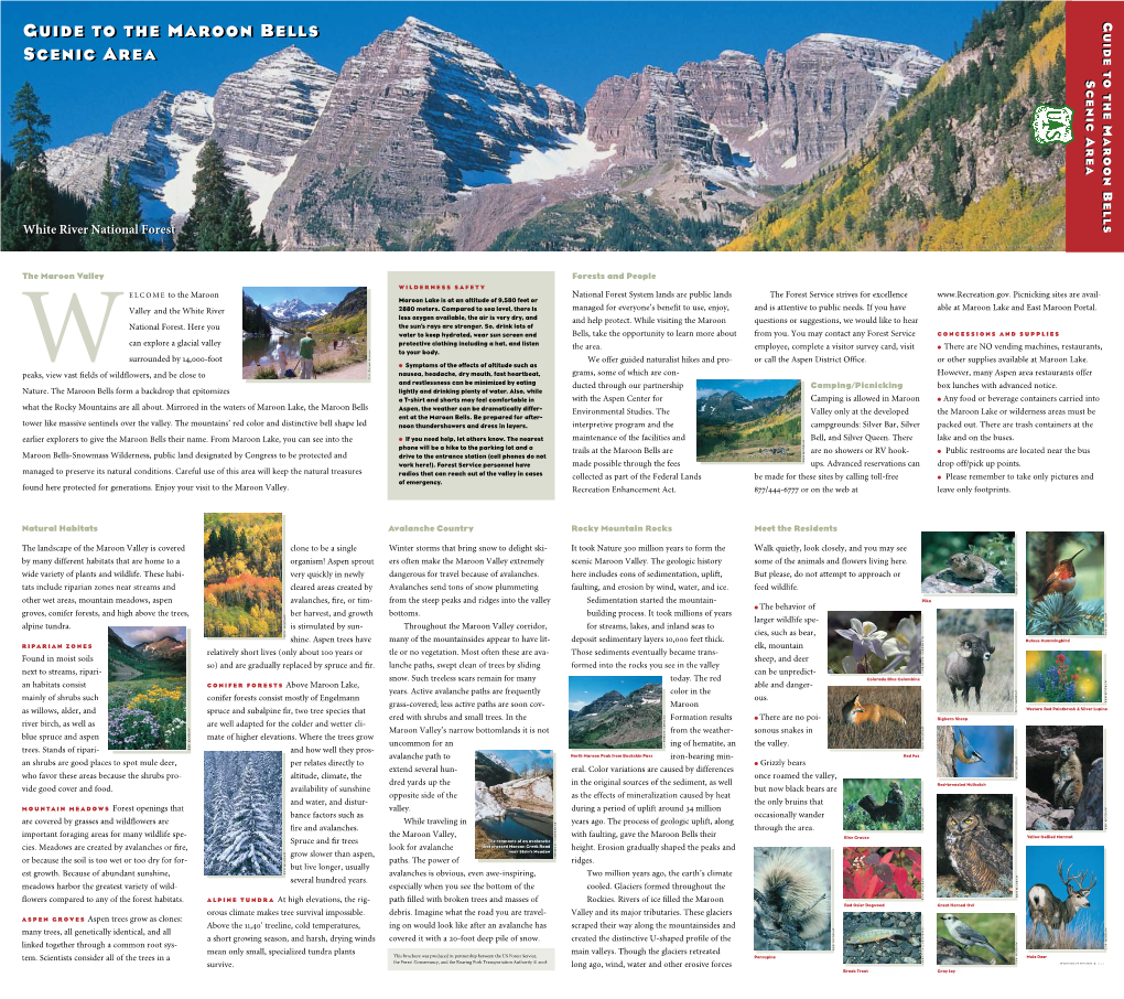 Maroon Bells Scenic Area Guide