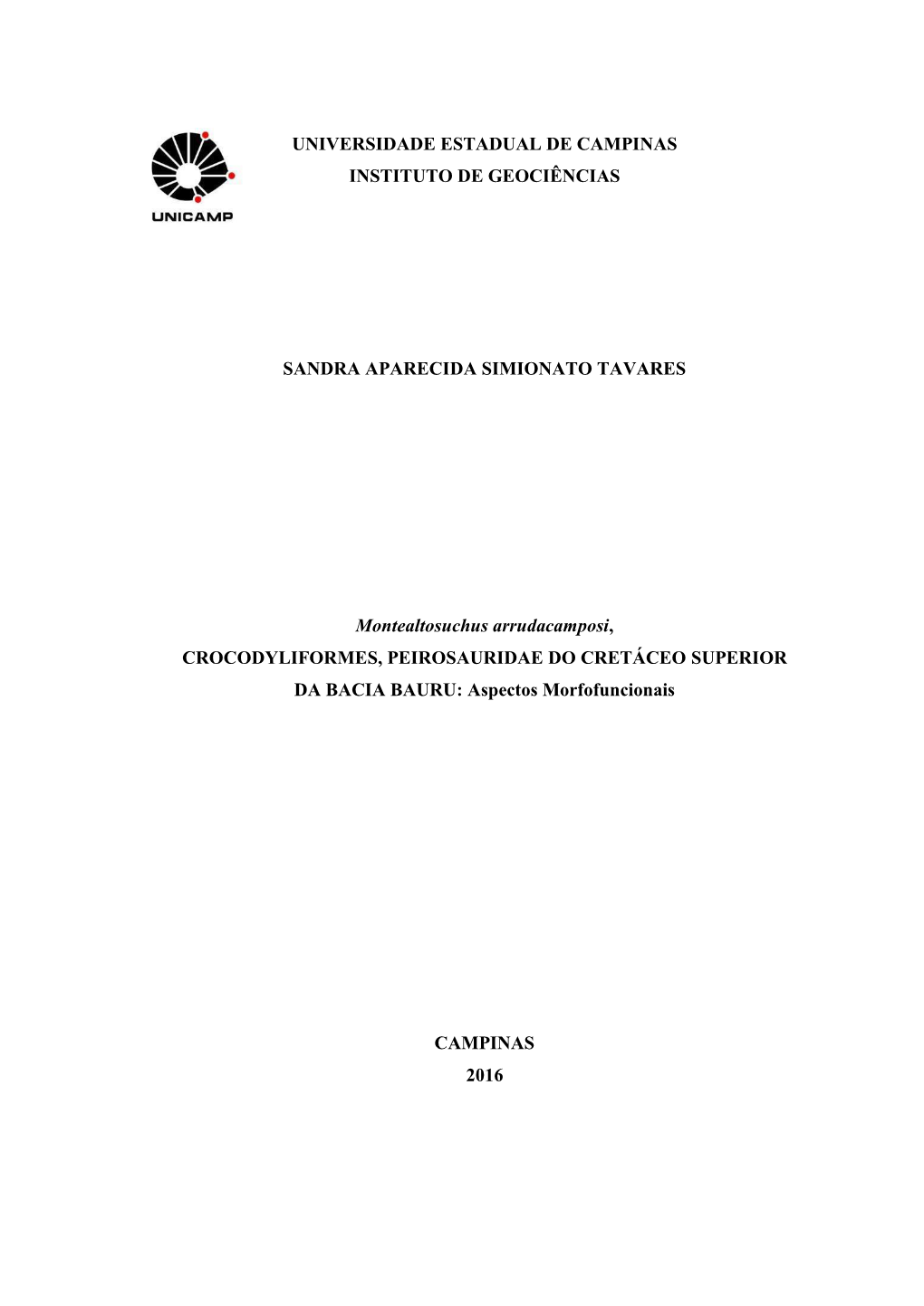 Universidade Estadual De Campinas Instituto De Geociências