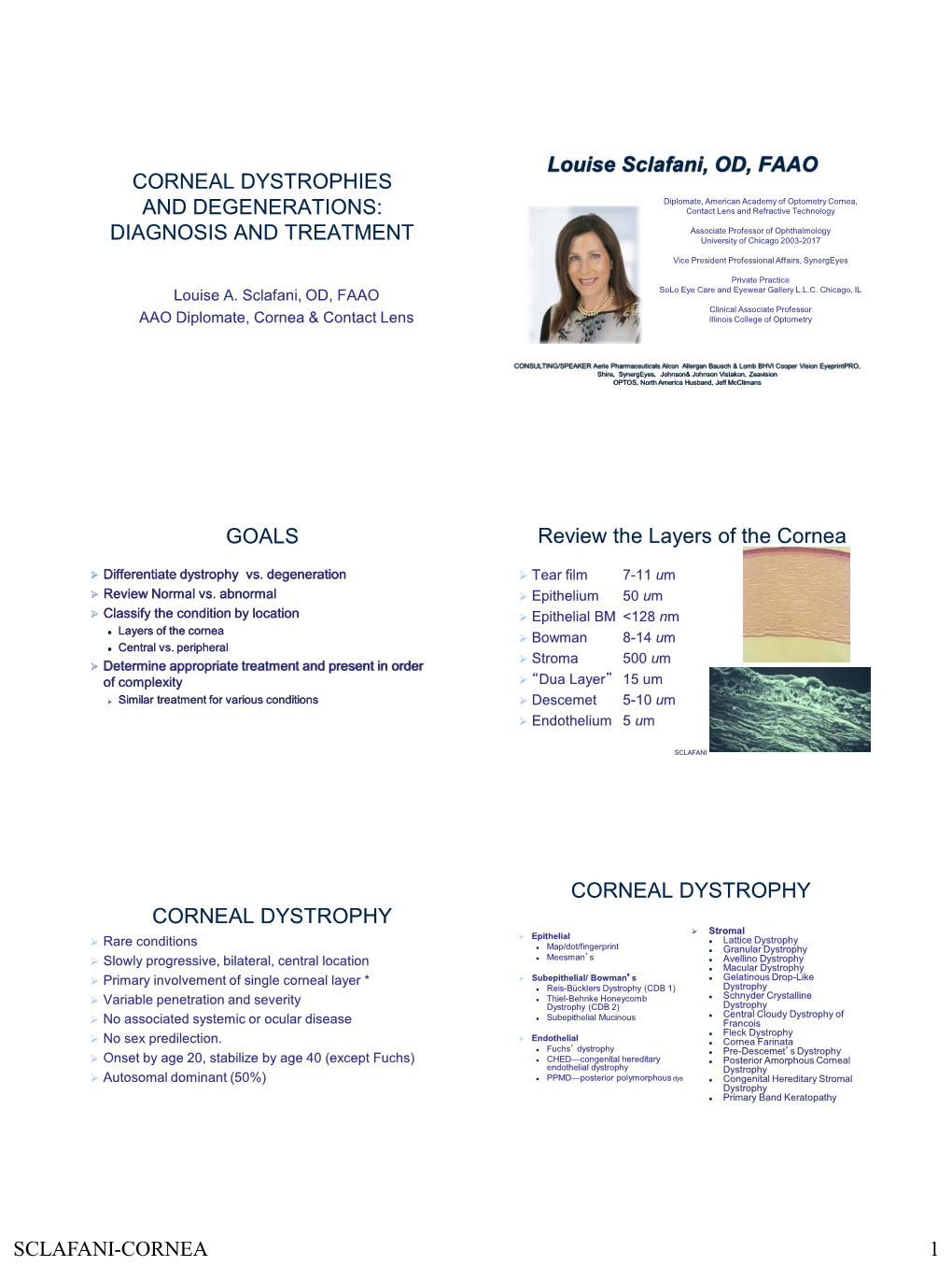 SCLAFANI-CORNEA 1 CORNEAL DEGENERATION Corneal Degenerations