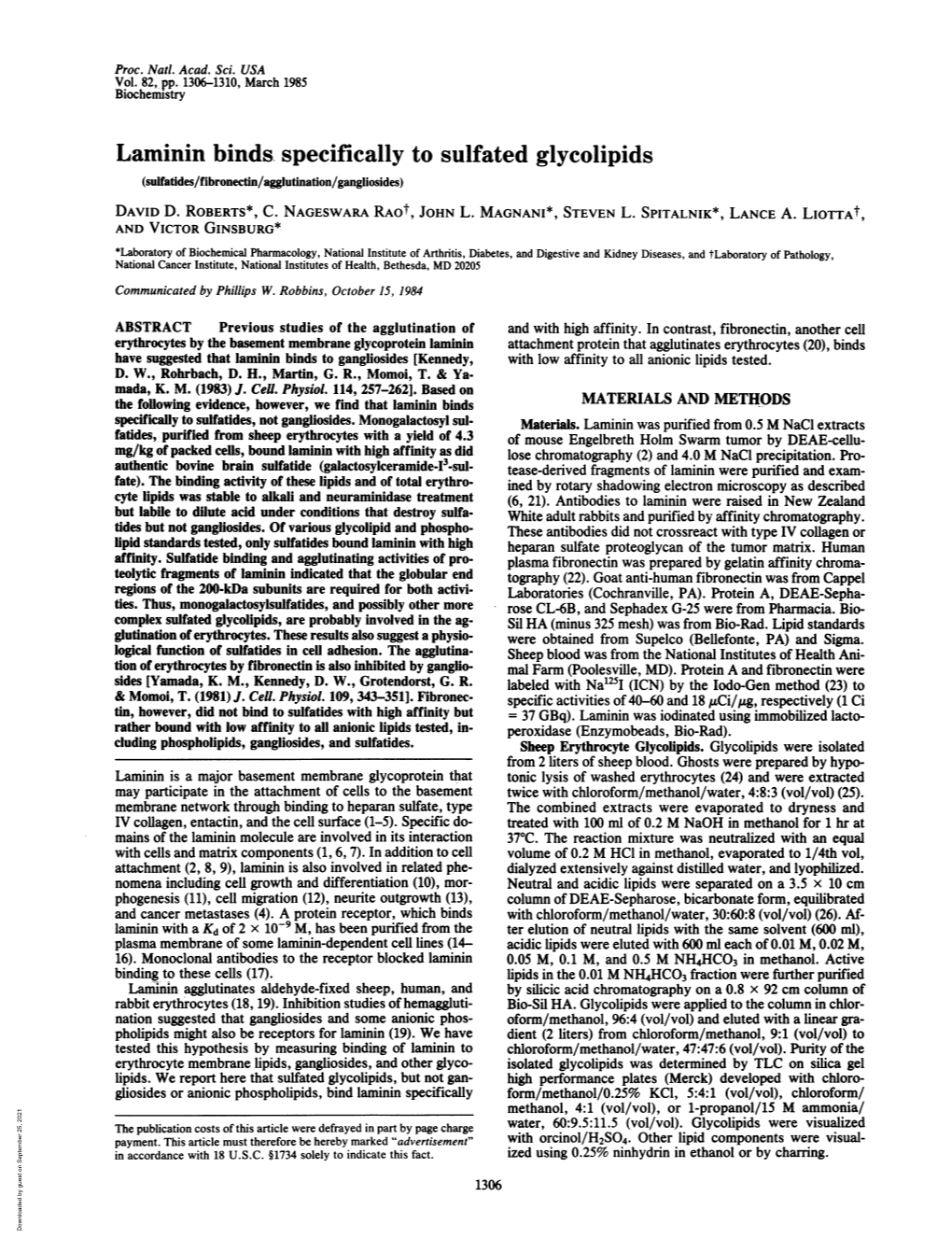 Laminin Binds, Specifically to Sulfated Glycolipids (Sulfatides/Fibronectin/Agglutination/Gangliosides) DAVID D