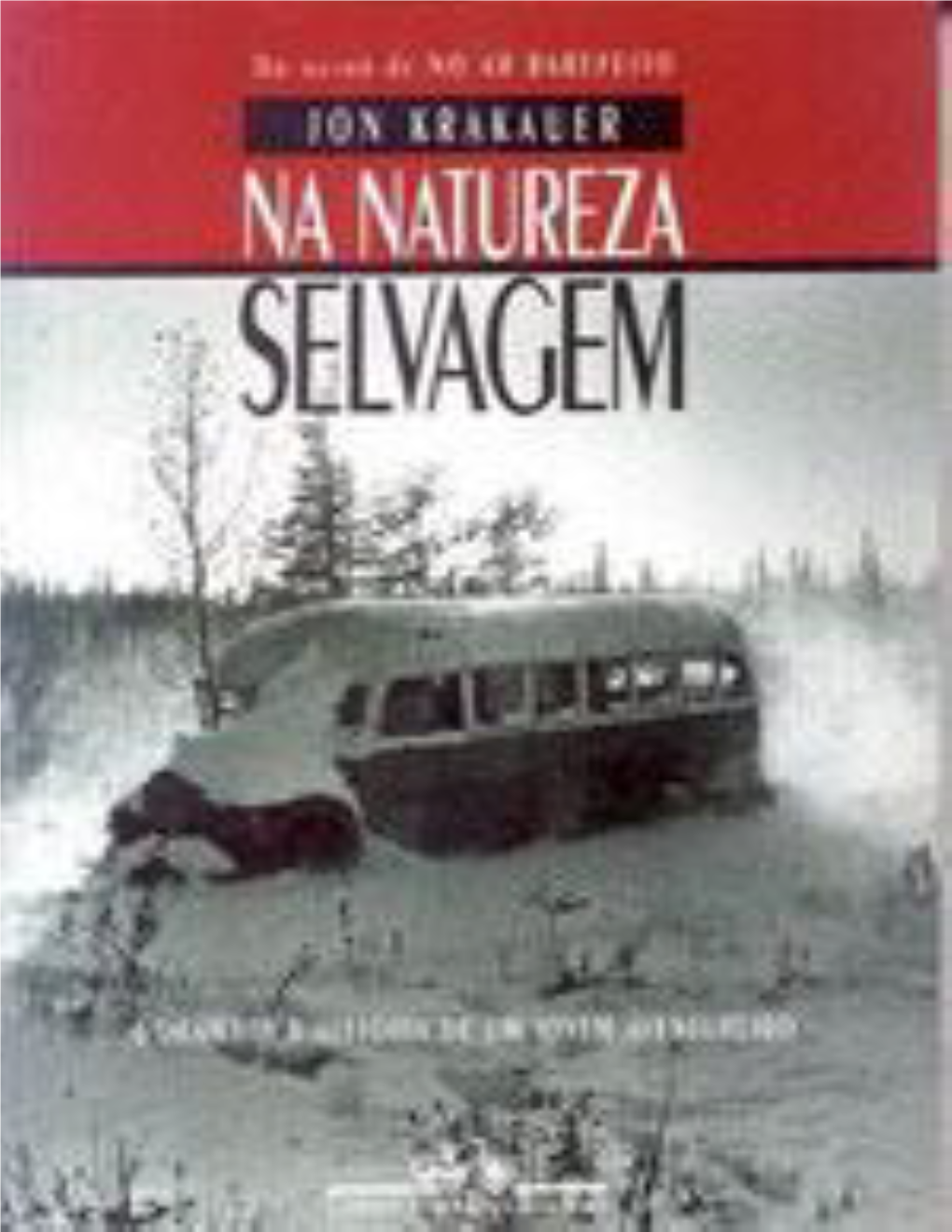 Na-Natureza-Selvagem-Jon-Krakauer