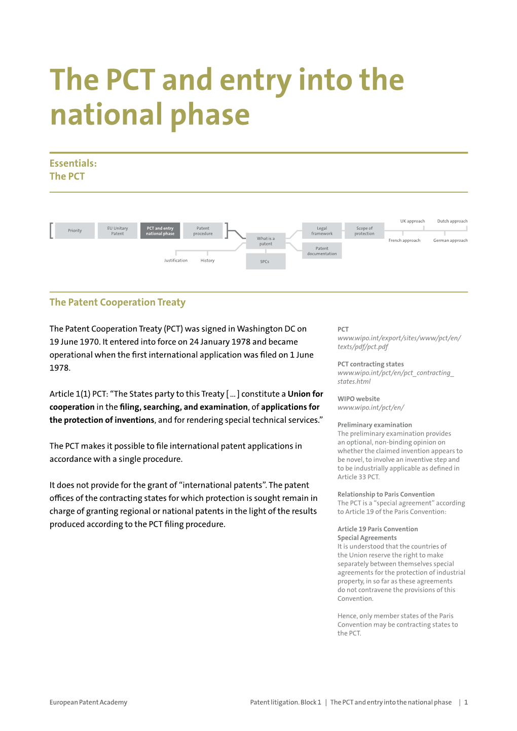 The PCT and Entry Into the National Phase