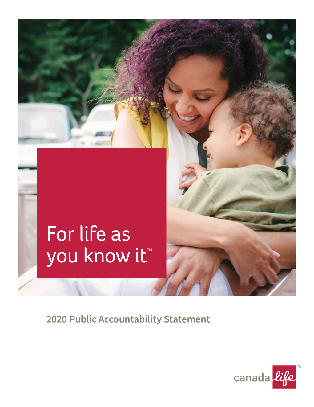2020 Public Accountability Statement Our Companies Presidents’ Report