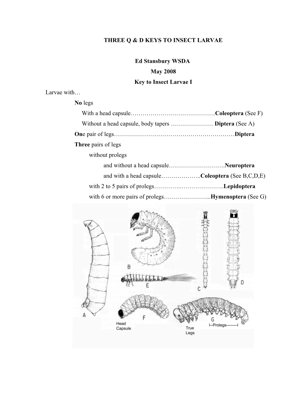 Three Q & D Keys To Insect Larvae