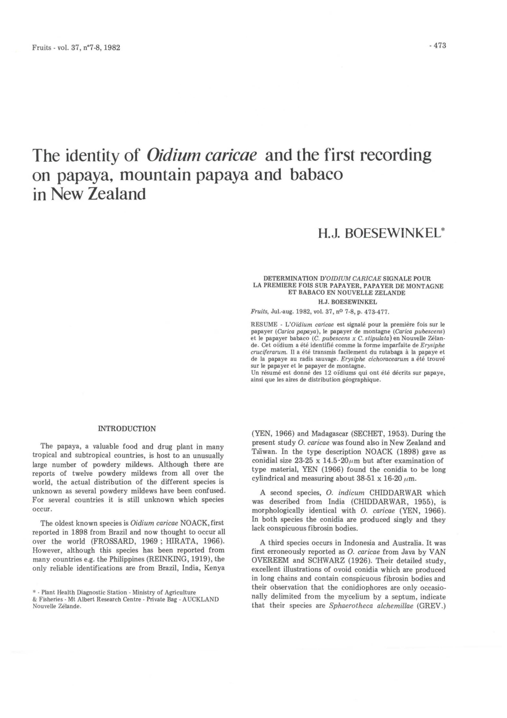 The Identity of Oidium Caricae and the First Recording on Papaya, Mountain Papaya and Babaco in New Zealand