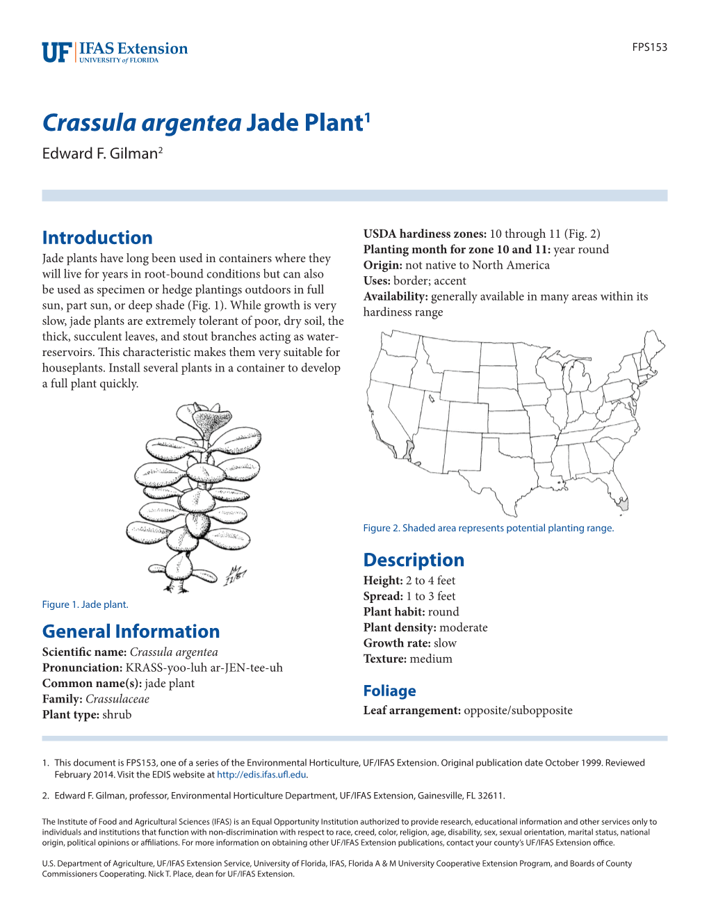 Crassula Argentea Jade Plant1 Edward F