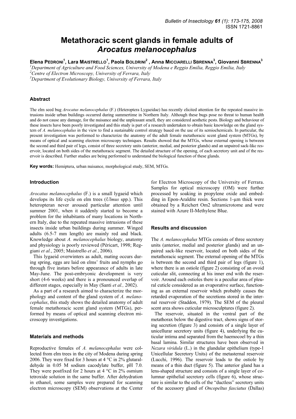 Metathoracic Scent Glands in Female Adults of Arocatus Melanocephalus